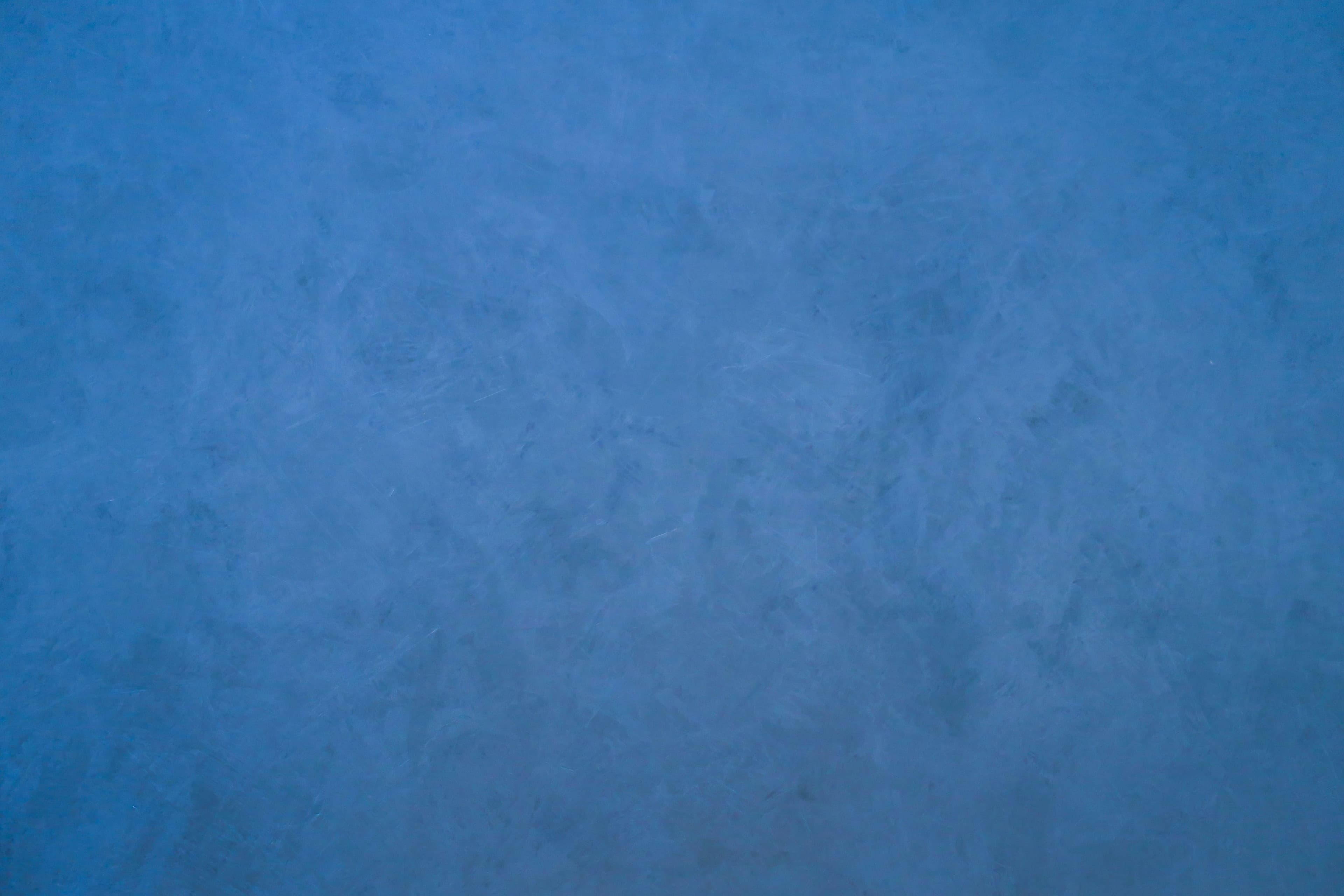 자주 묻는 질문 배경